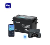 Core Mini - 12V 200Ah LiFePO4 Batterie mit Niedrigtemperaturschutz - inkl. 0% MwSt. / 1 Battarie + 300A Shunt(80 € günstiger als Einzelkauf)