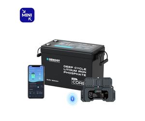 Core Mini - 12V 200Ah LiFePO4 Batterie mit Niedrigtemperaturschutz - inkl. 19% MwSt. / 1 Battarie + 300A Shunt(80 € günstiger als Einzelkauf)