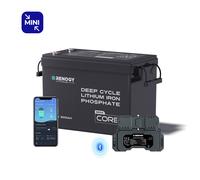 Renogy Lithium Batterie 12v 300Ah LiFePO4 Batterie Core Mini Serie 5000 Zyklen