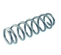 CS GERMANY Fahrwerksfeder 14950890 Hinterachse für VW Audi SEAT