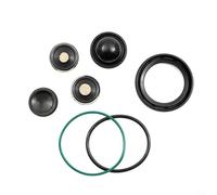 CWOQOCW Diesel Hochdruckpumpe Dichtungen Kit Leckreparatur, OEM 24465785 Hochdruck-Kraftstoffpumpe Reparatursatz für Opel