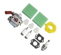 CWOQOCW Vergaser-Kit für Homelite B25C BC2500R D725CD D825SB F2020/ F3040/ F3050/ Zubehör Rasenmäher Ersatzteile, 8HM66201F0989KS1ZHGV8AO7NLC975