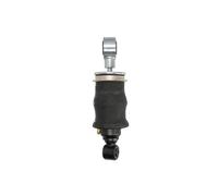 Monroe Dämpfer CB0304 für Fahrerhauslagerung – 1x Original