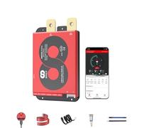 DALY LKW-Starter-BMS 4S 12 V 8S 24 V Smart BMS mit Balancer und eingebautem Heizmodul für LKW-Auto-Starter-Lithiumbatterie (LifePO4 4S 12 V, 100 A)