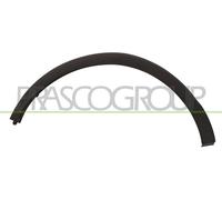 Dekorative Und Schutzleisten, Kotflügel RN7001583 PRASCO Für RENAULT