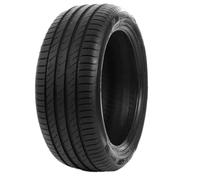DELINTE - 245/45 ZR18 TL 100W DS2 XL BSW - Sommerreifen