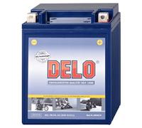 Delo Gel Batterie
