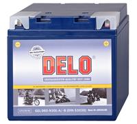 Delo Gel Batterie D60-N30L-A/B 53030