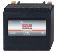 Delo Gel Hd Batterie HVT16L 22AH SAE 325A