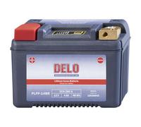 Delo Lithium-Ionen-Batterien