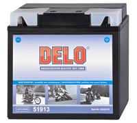 Delo Mikrovlies-Batterie 51814 51913 12V/19AH 210A