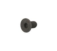 Delphi bgk008 Bremsscheibe Halterstange Schraube (x10)
