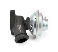 AGR Ventil DELPHI EG10528-12B1