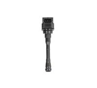 Delphi Zündspule Zündmodul Zündeinheit GN10614-12B1