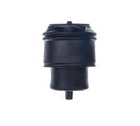 DENCKERMANN Luftfeder, Fahrwerk dsa129g Hinterachse für Citroën/Peugeot