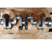 Deutz Kurbelwelle Deutz KHD F4L912 Vergl. 029293390 Traktor NEU zentraler Massenausgleich