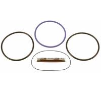 Dichtringsatz DT Spare Parts 2.91147 Dichtringsatz