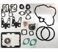 Dichtsatz für Deutz F2L410 F2L411 Motor 2 Zylinder mit Wedi OHNE ZKD