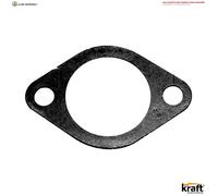DICHTUNG ABGASROHR 1135062 FÜR INFINITI RENAULT SCÉNIC/III/GRAND/IV MODUS 1.5L