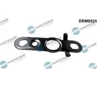 Dichtung, Kraftstoffleitung für FORD DRM0531