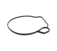 Dichtung Schwimmerkammer Mikuni CPI / Keeway