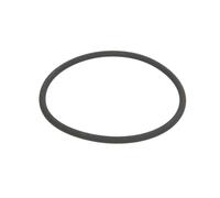 Elring Dichtung Thermostat 290.860 für Mercedes Renault Aston Martin Dacia 08->