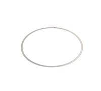 Elring Dichtung Zylinderlaufbuchse 024.481 für Deutz-Fahr Fendt Iveco 66->