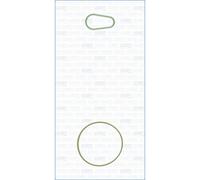 AJUSA Dichtungssatz Unterdruckpumpe 77037100 für GRANDLAND X (A18)