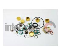 Dichtungssatz für Einspritzpumpe 2 417 010 010 BOSCH