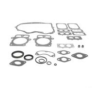 Dichtungssatz für Motor 406777 407677 407777 694012 499889, kleiner Motor-Reparatursatz mit Kopf Vergaser-Montagedichtungen für Rasenmäher Outdoor Powers Equipment Dichtungen