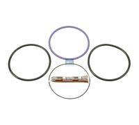Dichtungssatz Zylinderlaufbuchse DT SPARE PARTS für u.a. VOLVO FL6