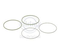 ELRING 827.541 Dichtungssatz Zylinderlaufbuchse