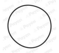 Dichtungssatz, Zylinderlaufbuchse PAYEN HL5383