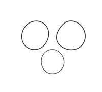 Dichtungssatz, Zylinderlaufbuchse REINZ 15-41981-01