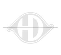 1x Zier-/Schutzleiste, Tür DIEDERICHS 1645244 passend für MERCEDES-BENZ