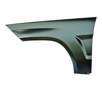 Kotflügel vorne rechts DIEDERICHS 1655006 für MERCEDES BENZ