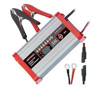 Dino KRAFTPAKET Batterieladegerät 12,8V · 20A für lifepo4-/LFP-Lithium-Batterien