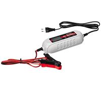 Raid | Vollautomatisches Batterieladegerät 4 Ampere | (136311)