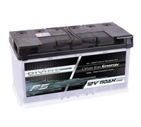 DiVine F5 12V 110Ah Batterie für Boot Yacht Schiff Marine Antrieb Alarm Hobby
