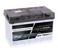 DiVine F5 12V 75Ah Batterie Solar Versorgung Notstrom Windkraft Beleuchtung
