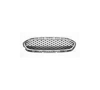 DM Autoteile 100531 Kühlergrill Kühlergitter Grill kompatibel für Ford Fiesta VII HJ HF Baujahr ab 2017
