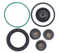 Doo Engy Hochdruckpumpe Benzinpumpe Einspritzpumpe Membranen Reparatursatz | für Vectra C Signum Astra H Zafira B 2.2 DGi Direct C5 406 2.0 HPI