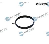 DR.MOTOR AUTOMOTIVE Dichtung, Drosselklappenstutzen drm01957 für NISSAN