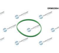 DR.MOTOR AUTOMOTIVE Dichtung, Drosselklappenstutzen DRM02904 für VW Porsche