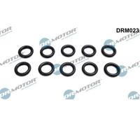DR.MOTOR AUTOMOTIVE Dichtung Kraftstoffleitung