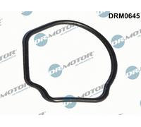 DR.MOTOR AUTOMOTIVE Dichtung, Thermostatgehäuse drm0645 für Ford Opel LANCIA Suzuki