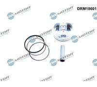 DR.MOTOR AUTOMOTIVE Kolben für RENAULT