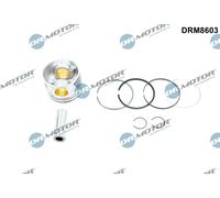 Dr.Motor Automotive Kolben mit Kolbenringen für HYUNDAI DRM8603