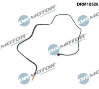 DR.MOTOR AUTOMOTIVE Kraftstoffschlauch Vorne u.a. für NISSAN, OPEL, RENAULT