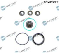 DR.MOTOR AUTOMOTIVE Reparatursatz, Hochdruckpumpe drm01982r für Opel